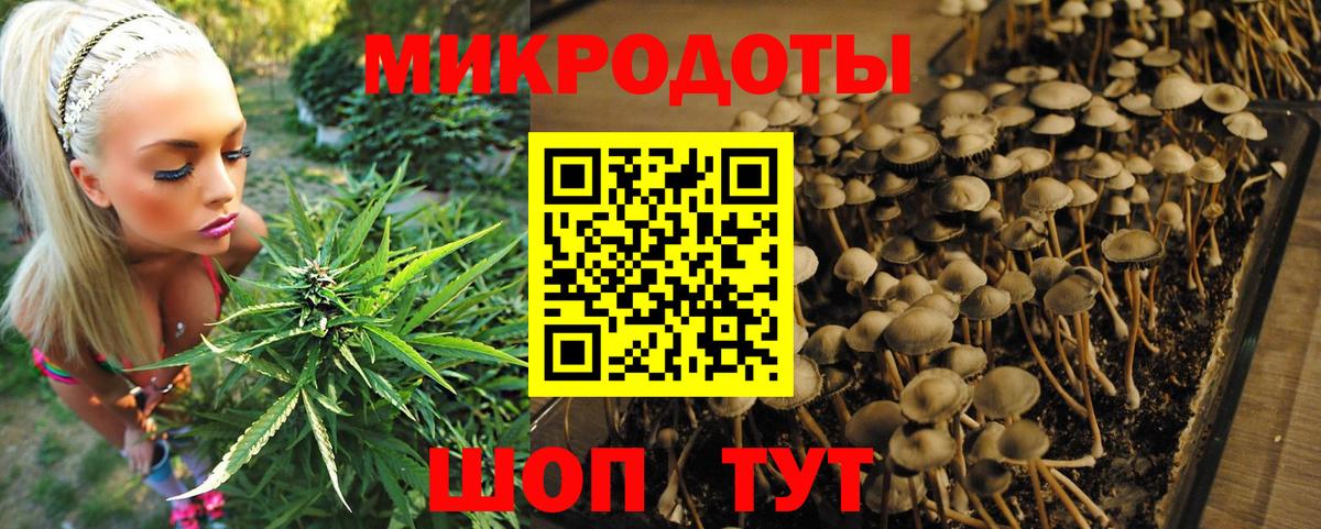 Галлюциногенные грибы Magic Shrooms  сколько стоит  Ачхой-Мартан  Вход с VPN 